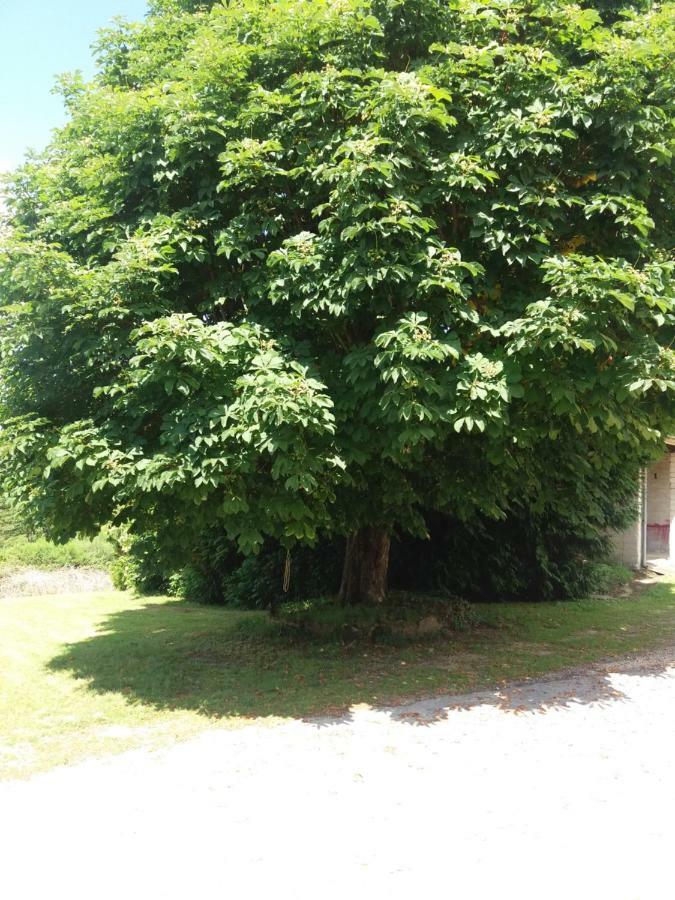 Meuble De Tourisme "Les Brosses Tillots" Villa Mary Buitenkant foto